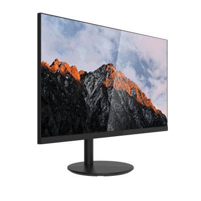 Dahua DHI-LM24-A2101F 24" FHD IPS 100Hz Monitor