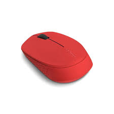 Rapoo Wireless Mouse M100